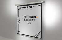 celexon écran de projection motorisé Economy 220 x 220 cm - 122'