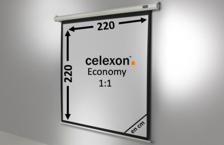 celexon écran de projection motorisé Economy 220 x 220 cm - 122'