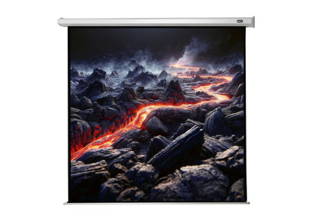 celexon écran de projection motorisé Economy 220 x 220 cm - 122'