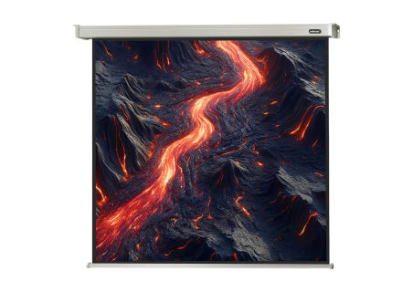 &Eacute;cran de projection motoris&eacute; celexon PRO 120 x 120 cm